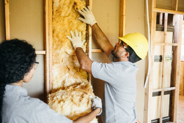 Best Local Insulation Services  in Andrews, IN